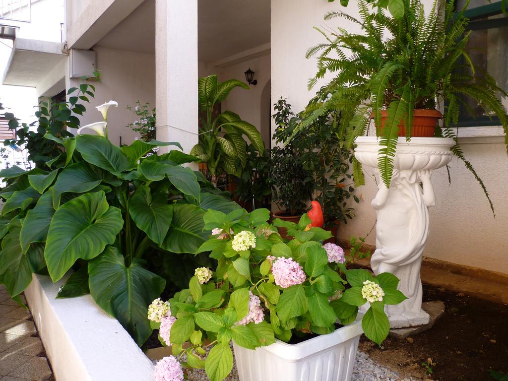 Apartments Sanda Tribunj ตรีบูนย์ ภายนอก รูปภาพ