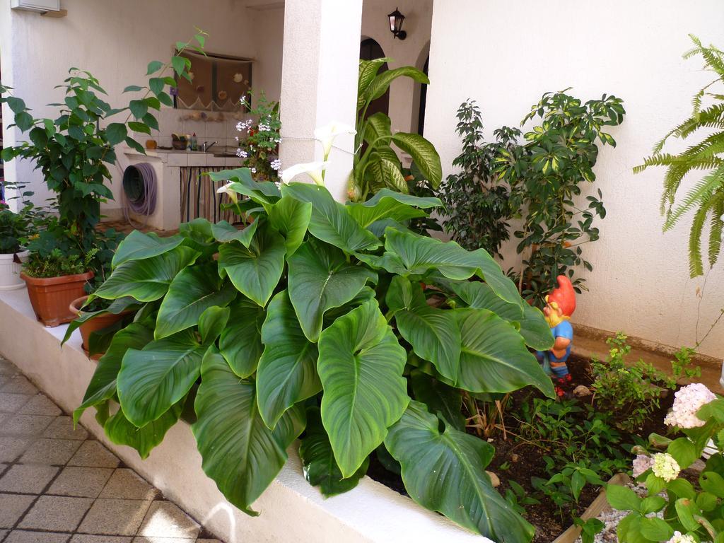 Apartments Sanda Tribunj ตรีบูนย์ ภายนอก รูปภาพ