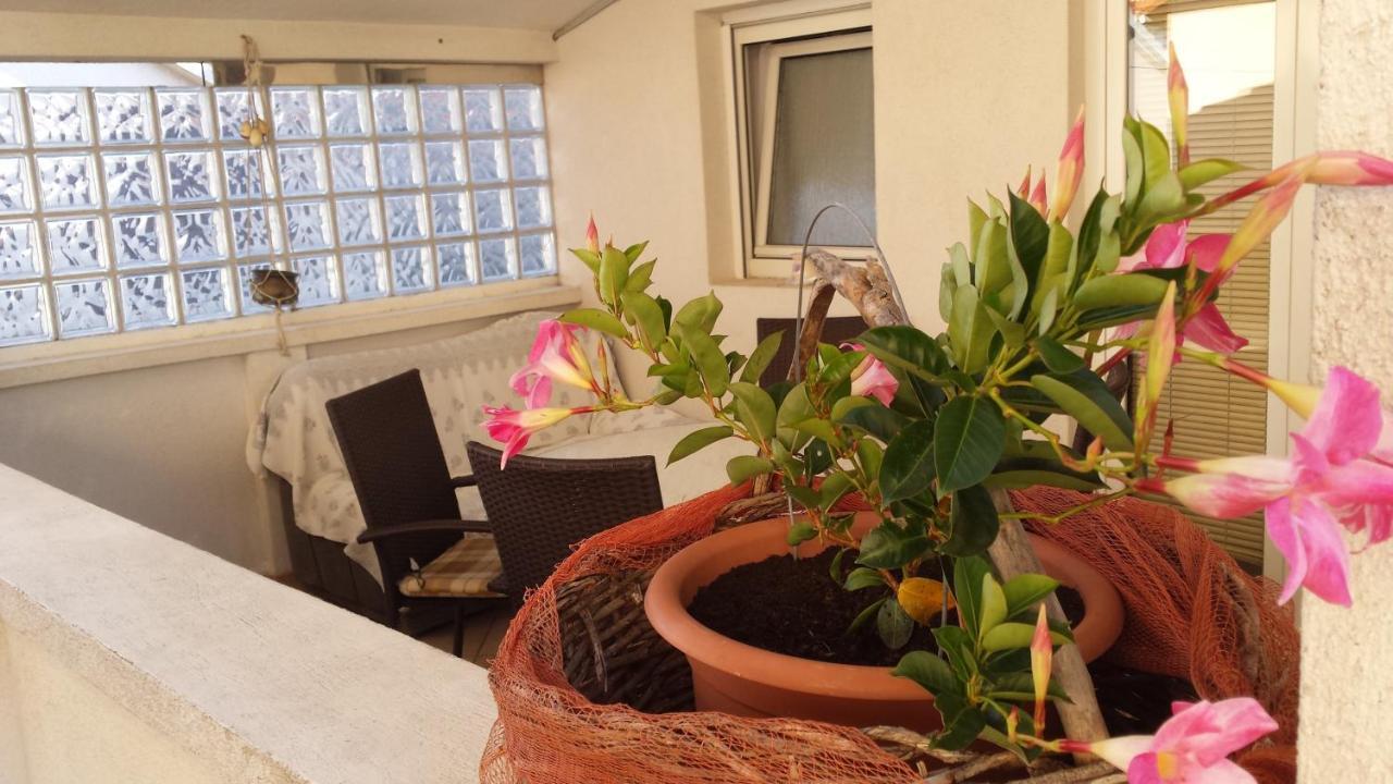 Apartments Sanda Tribunj ตรีบูนย์ ห้อง รูปภาพ